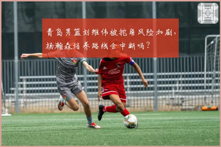 青岛男篮刘维伟被挖角风险加剧,杨瀚森培养路线会中断吗?